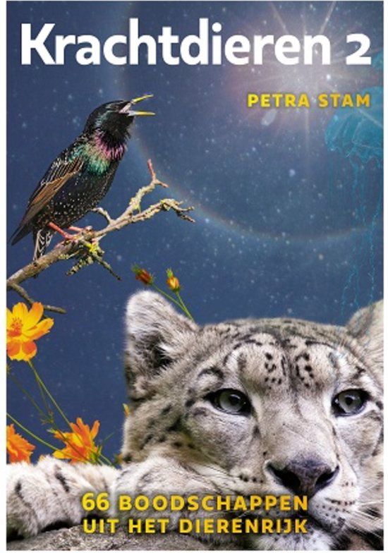 Krachtdieren Kaarten 2 - Petra Stam
