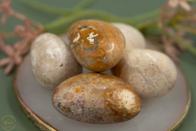 Versteend Koraal Zaksteen 20-30g