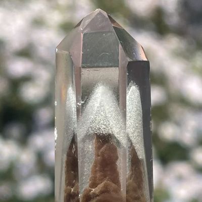 Donkere Fantoomkwarts