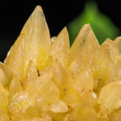 Gele Calciet