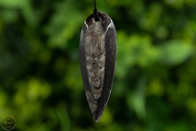 Orthoceras Hanger Doorboord (Marokko)