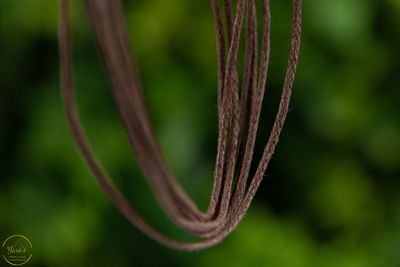 Koord Bruin 90cm - 10815