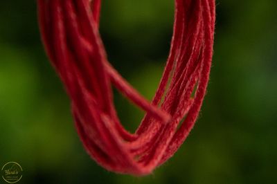 Koord Rood - 90cm 10821