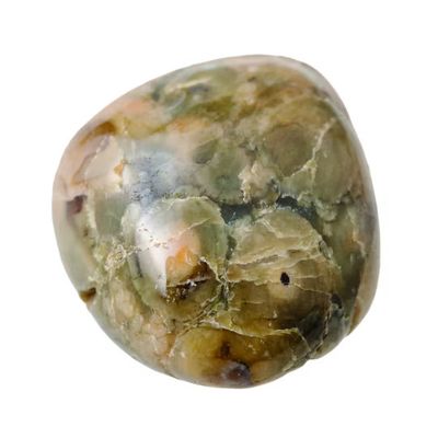 Rhyoliet (regenwoud jaspis)