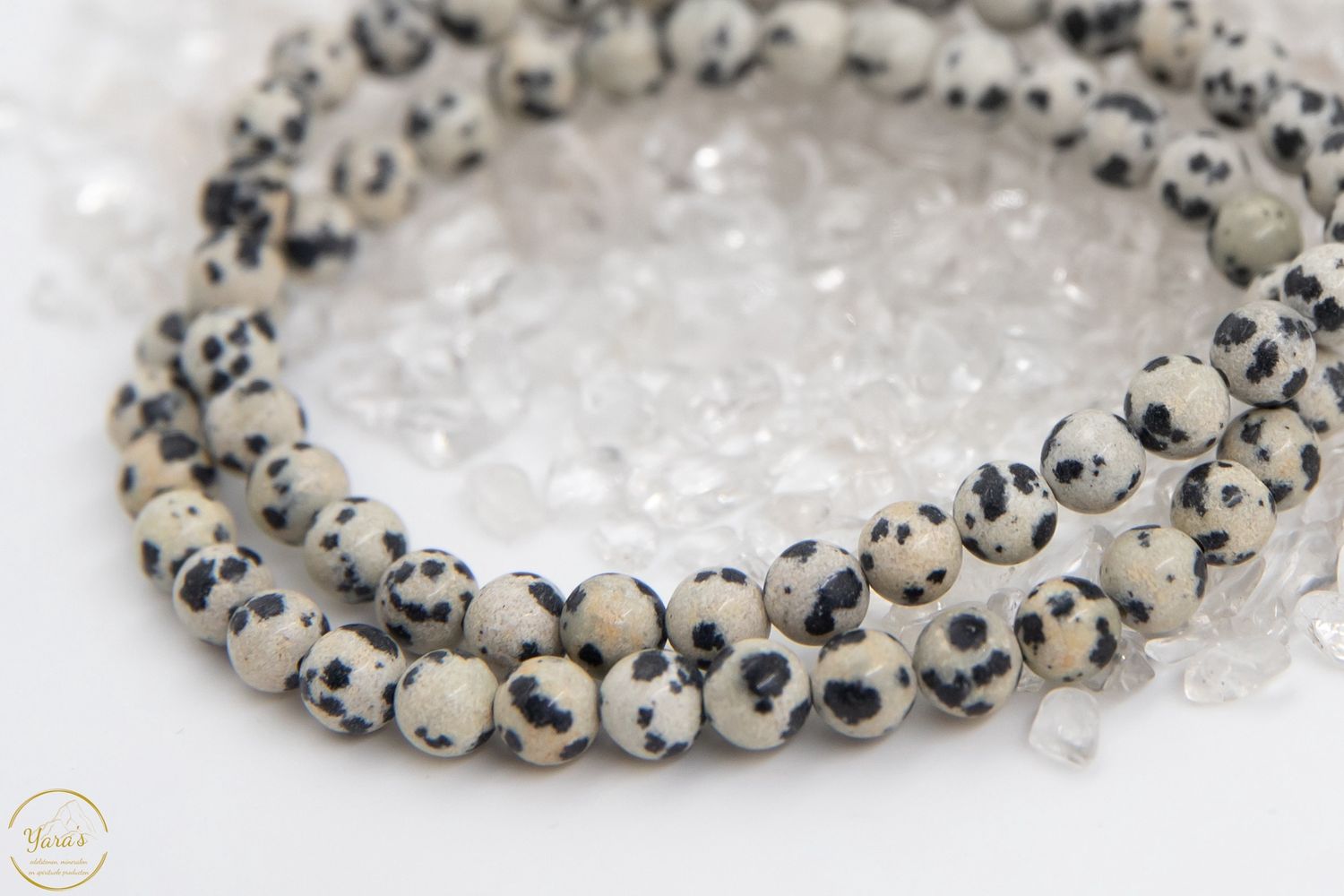 Dalmatiër Jaspis Armband 6mm