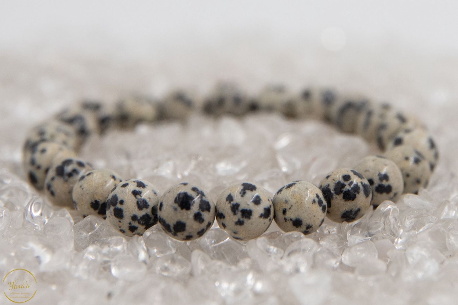 Dalmatiër Jaspis Armband 8mm