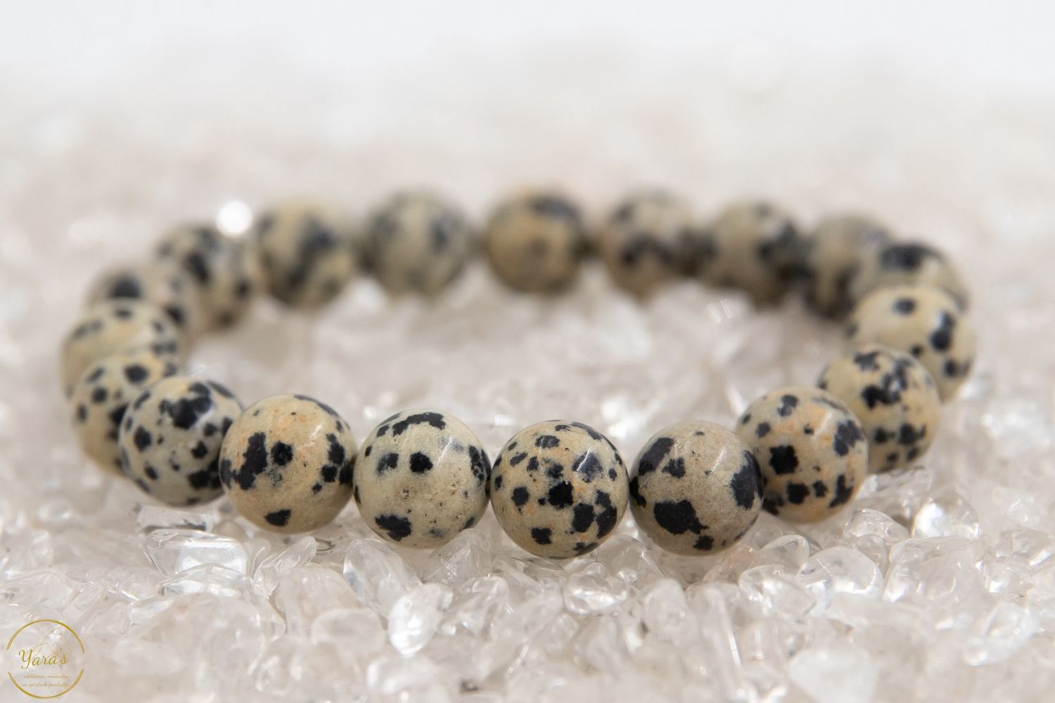 Dalmatiër Jaspis Armband 10mm