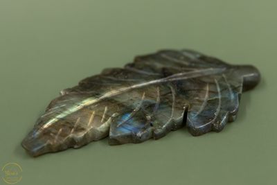 Labradoriet blad - 71 gram