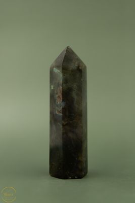 Labradoriet Toren-12386