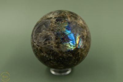 Labradoriet bol-46638