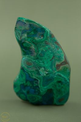 Malacholla gepolijst 344g
