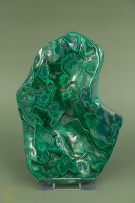 Malacholla gepolijst 1052g