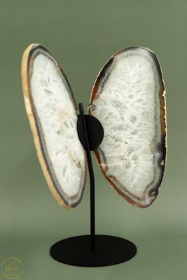 Agaat Vlinder-75605