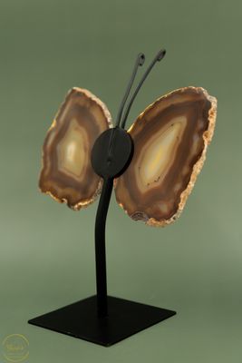 Agaat Vlinder-75606