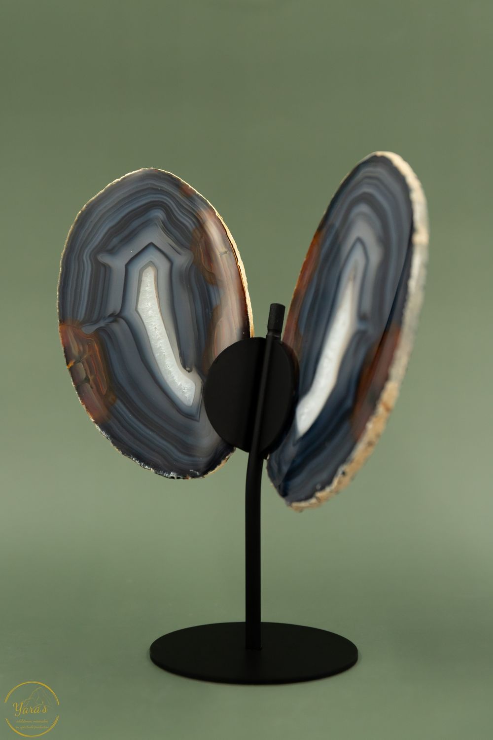 Agaat Vlinder-11555