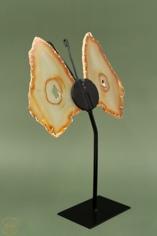 Agaat Vlinder-86370