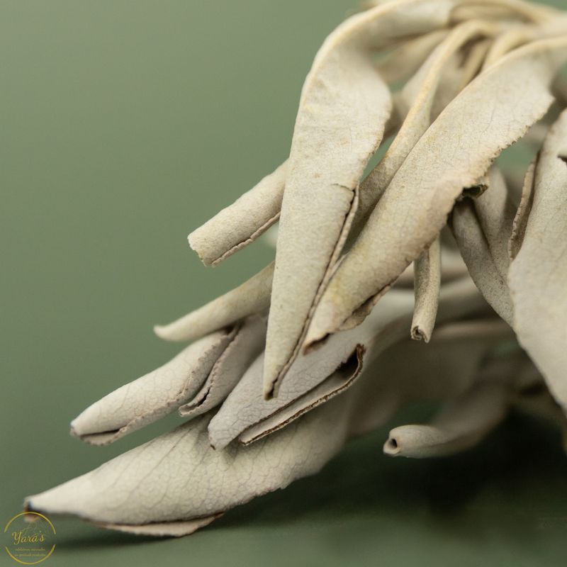 Zakje Salie 30-35gram