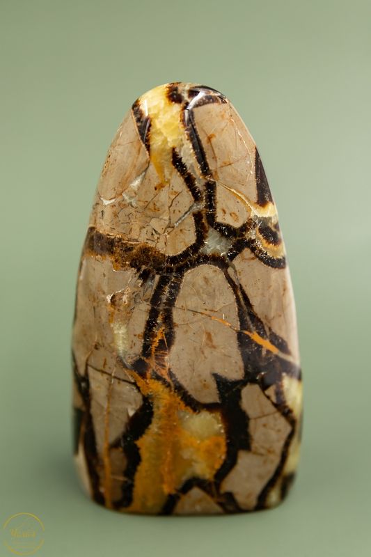 Asmonument Septarie 940 gram