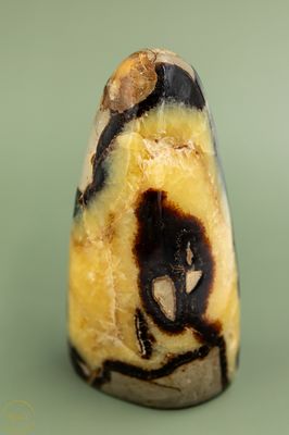 Asmonument Septarie 824 gram