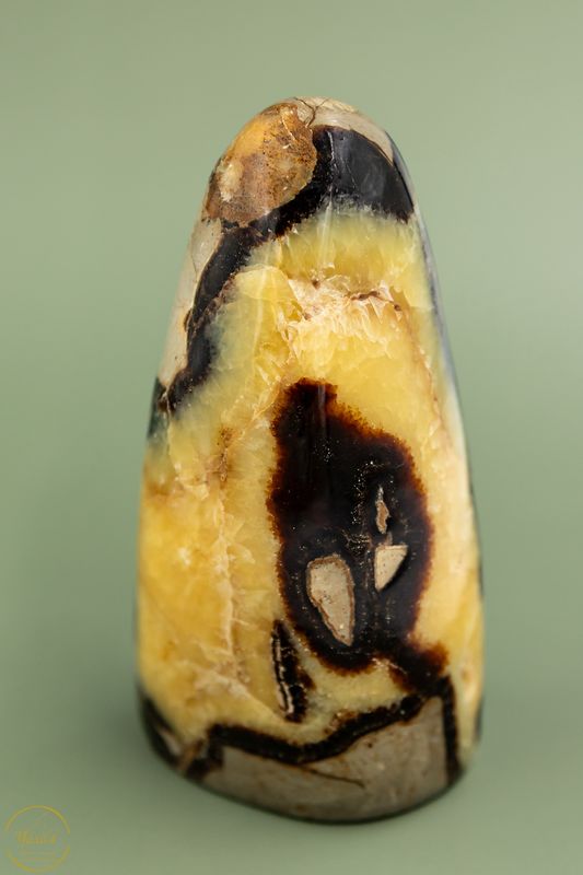 Asmonument Septarie 824 gram