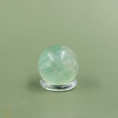 Fluoriet bol 21 gram