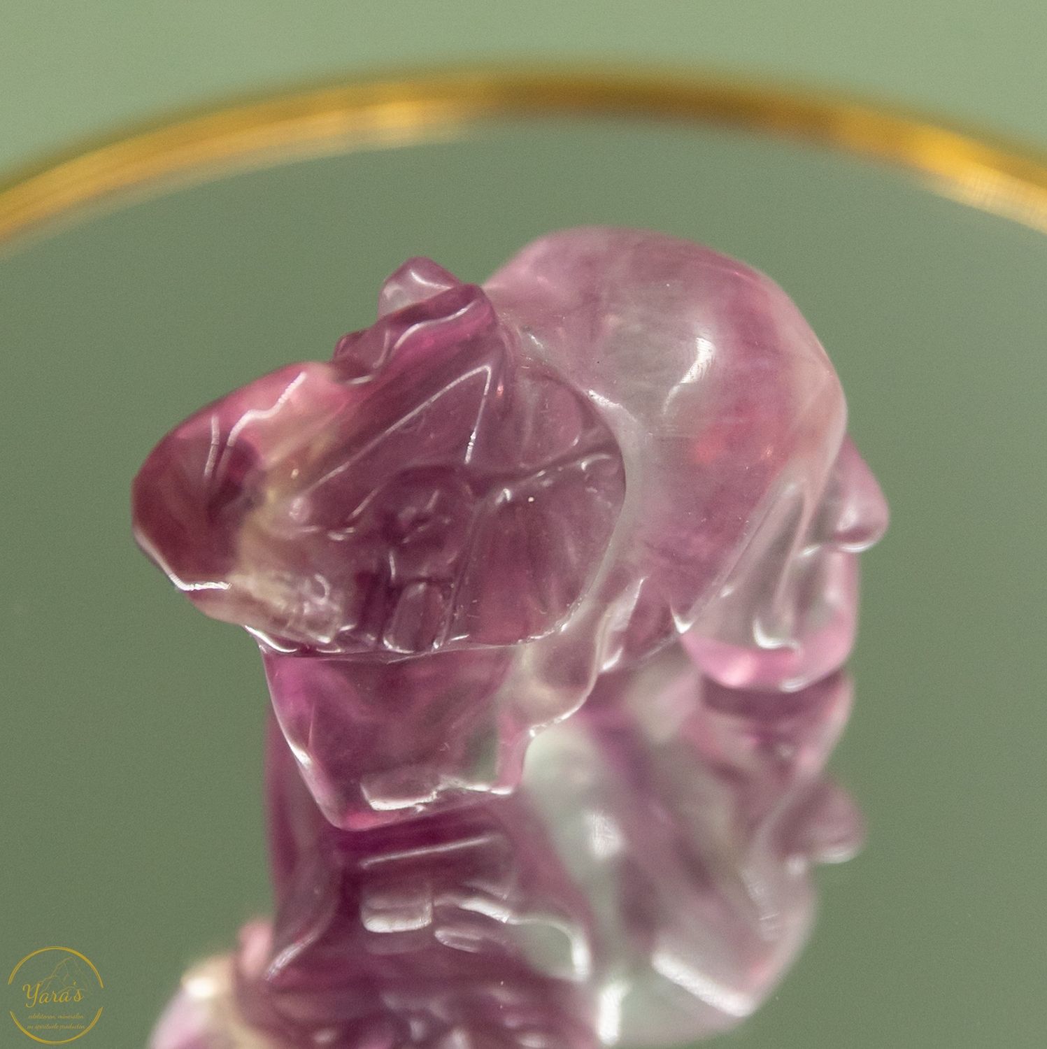 Fluoriet olifant 32 gr