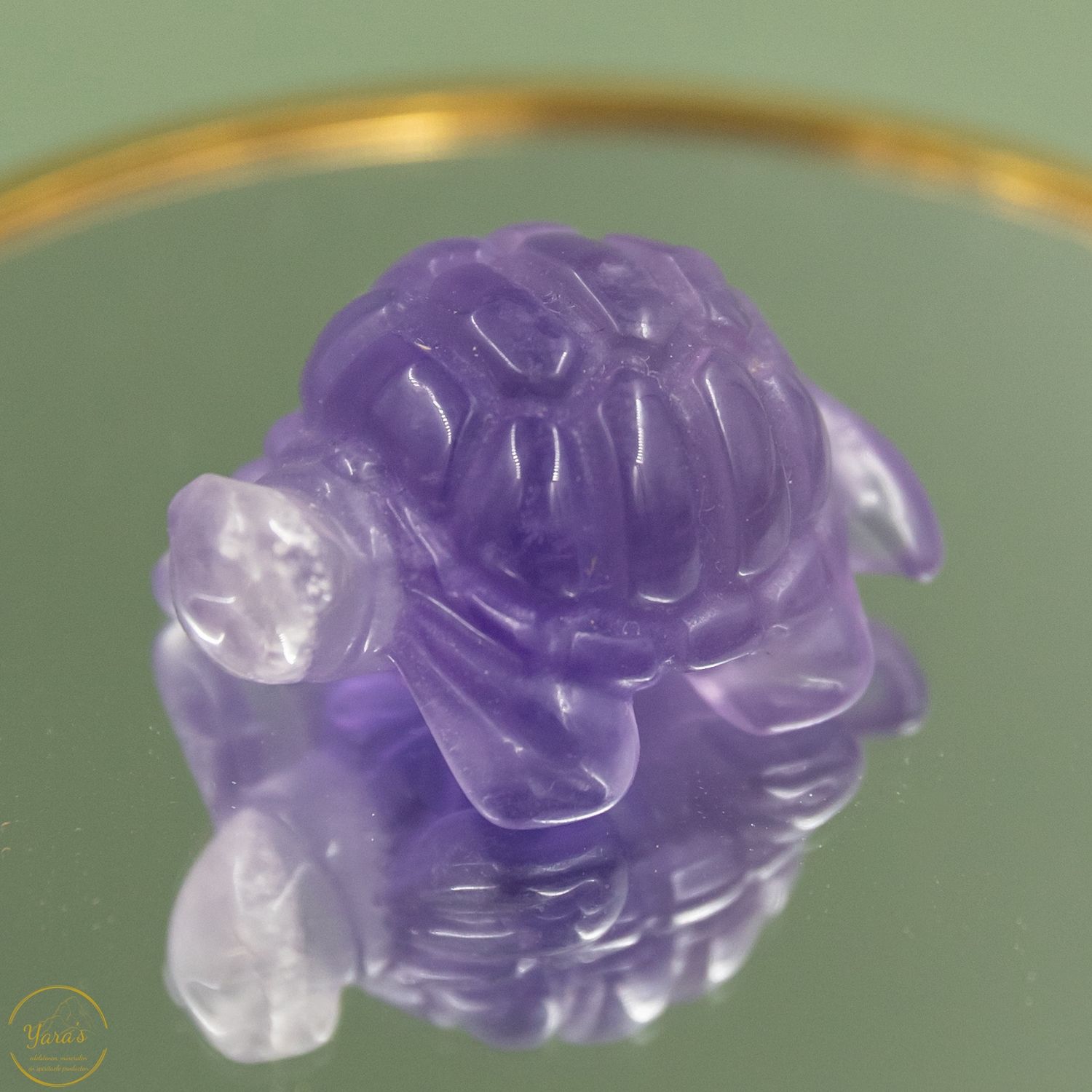 Fluoriet schildpad 31 gram