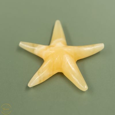 Gele Calciet zeester - 16 gram