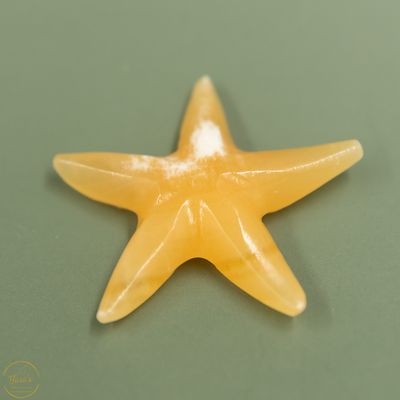 Gele Calciet zeester - 15 gram