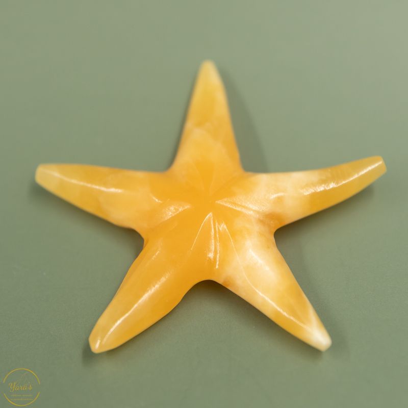 Gele Calciet zeester - 36 gram