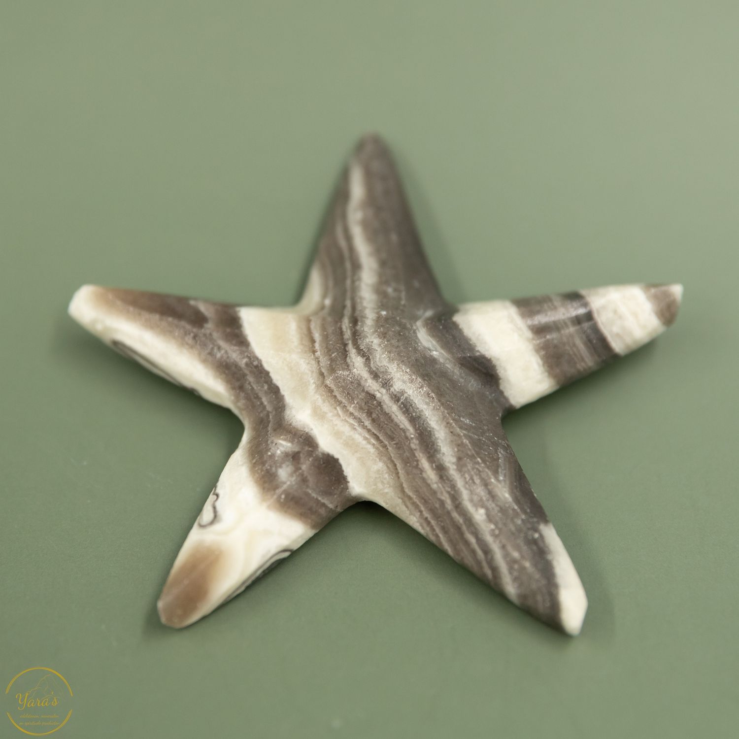 Zebra Calciet zeester - 41 gram