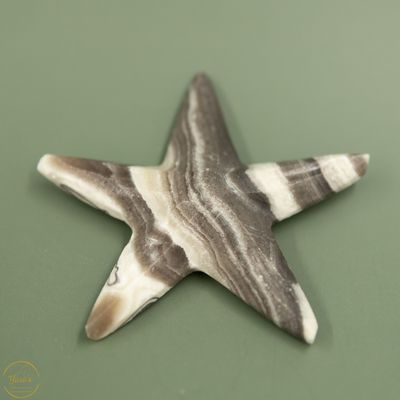 Zebra Calciet zeester - 41 gram