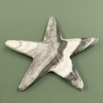 Zebra Calciet zeester - 37 gram