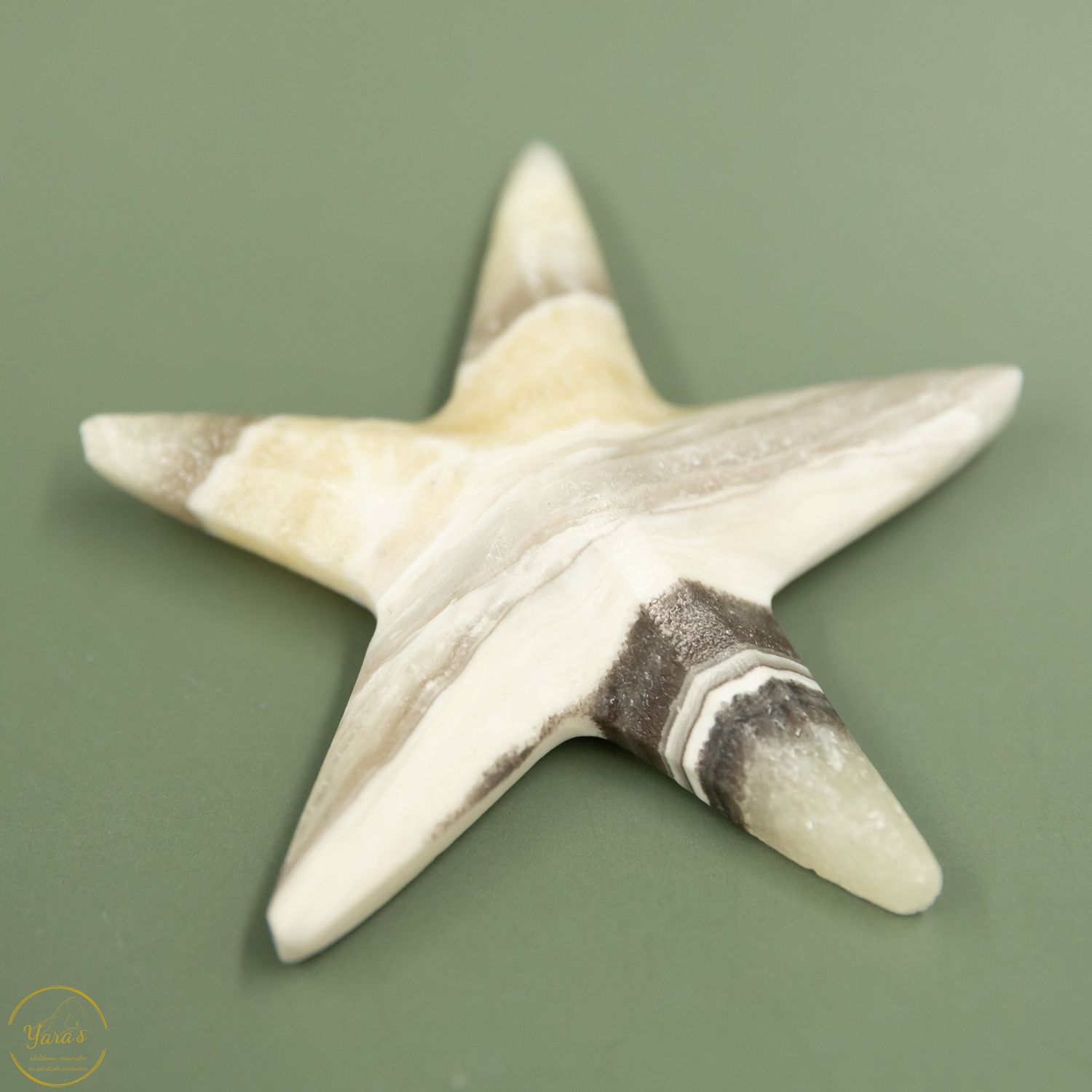 Zebra Calciet zeester -  44 gram