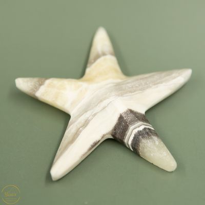 Zebra Calciet zeester -  44 gram