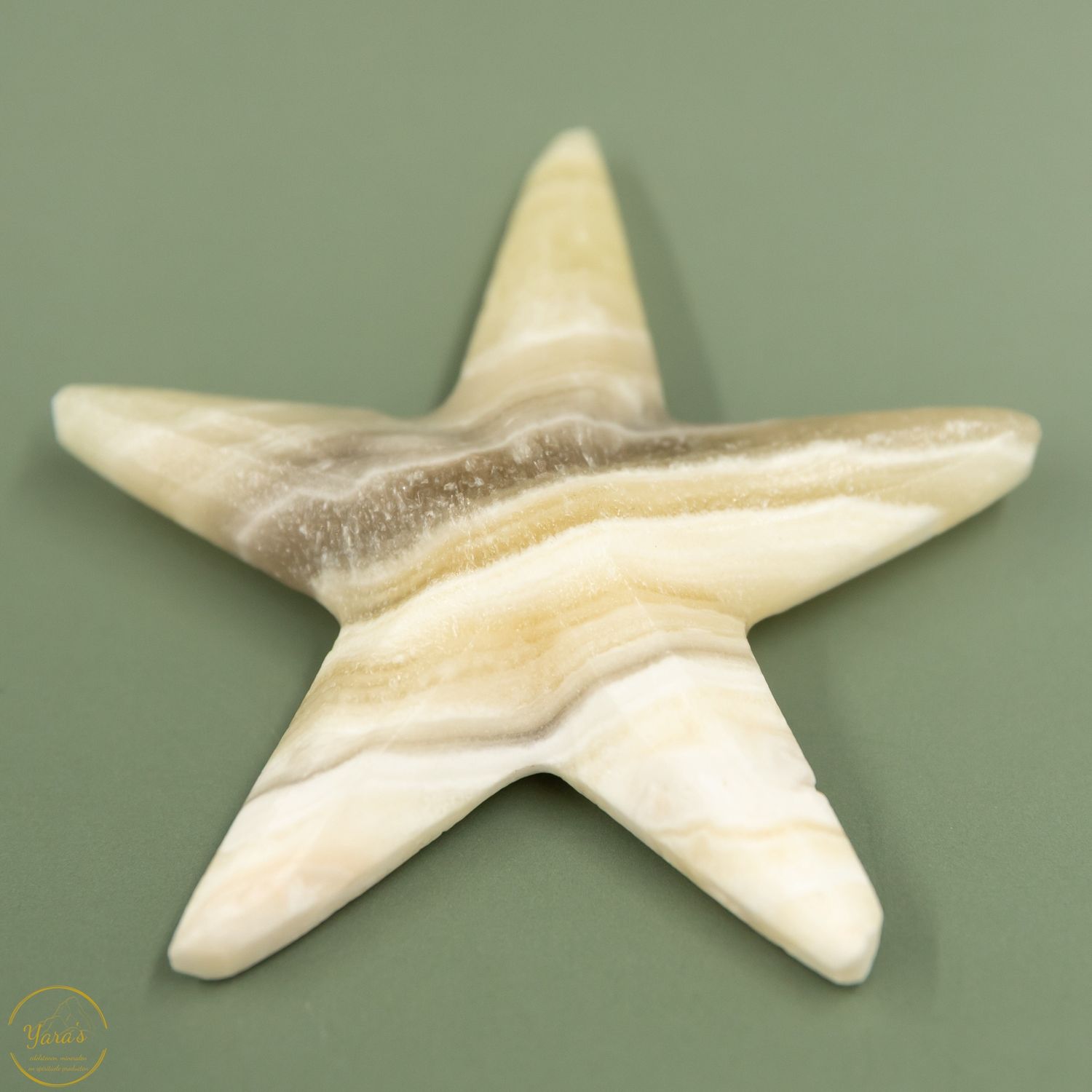 Zebra Calciet zeester - 47 gram