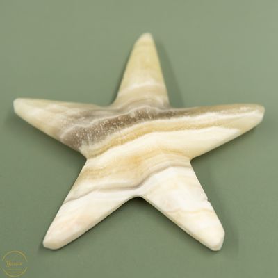 Zebra Calciet zeester - 47 gram