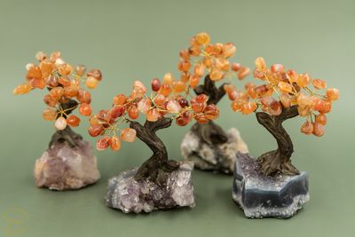 Edelstenenboompje Carneool