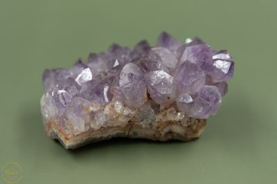 Amethist cluster  - 181 gr