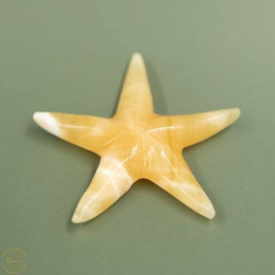 Gele/oranje  Calciet zeester - 35 gram