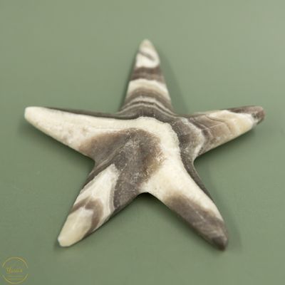 Zebra Calciet zeester - 39 gram