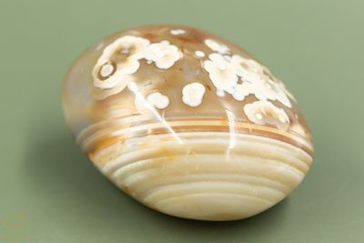 Carneool 332 gram