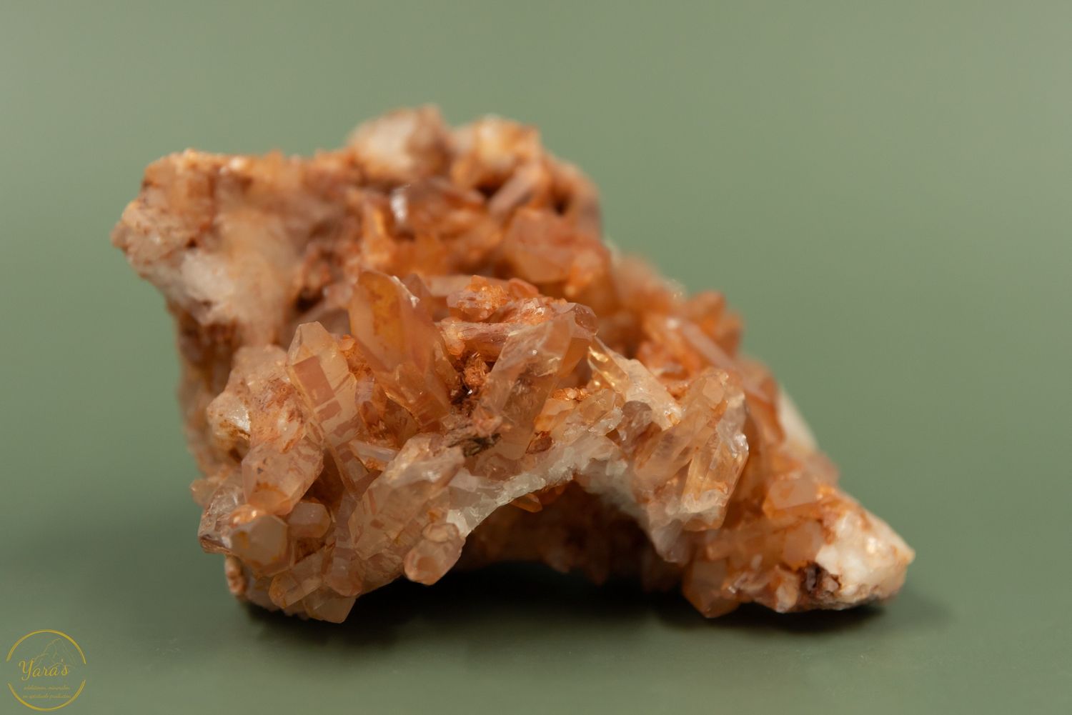 Tangerine - 440 gram