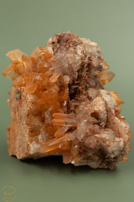 Tangerine - 625gram
