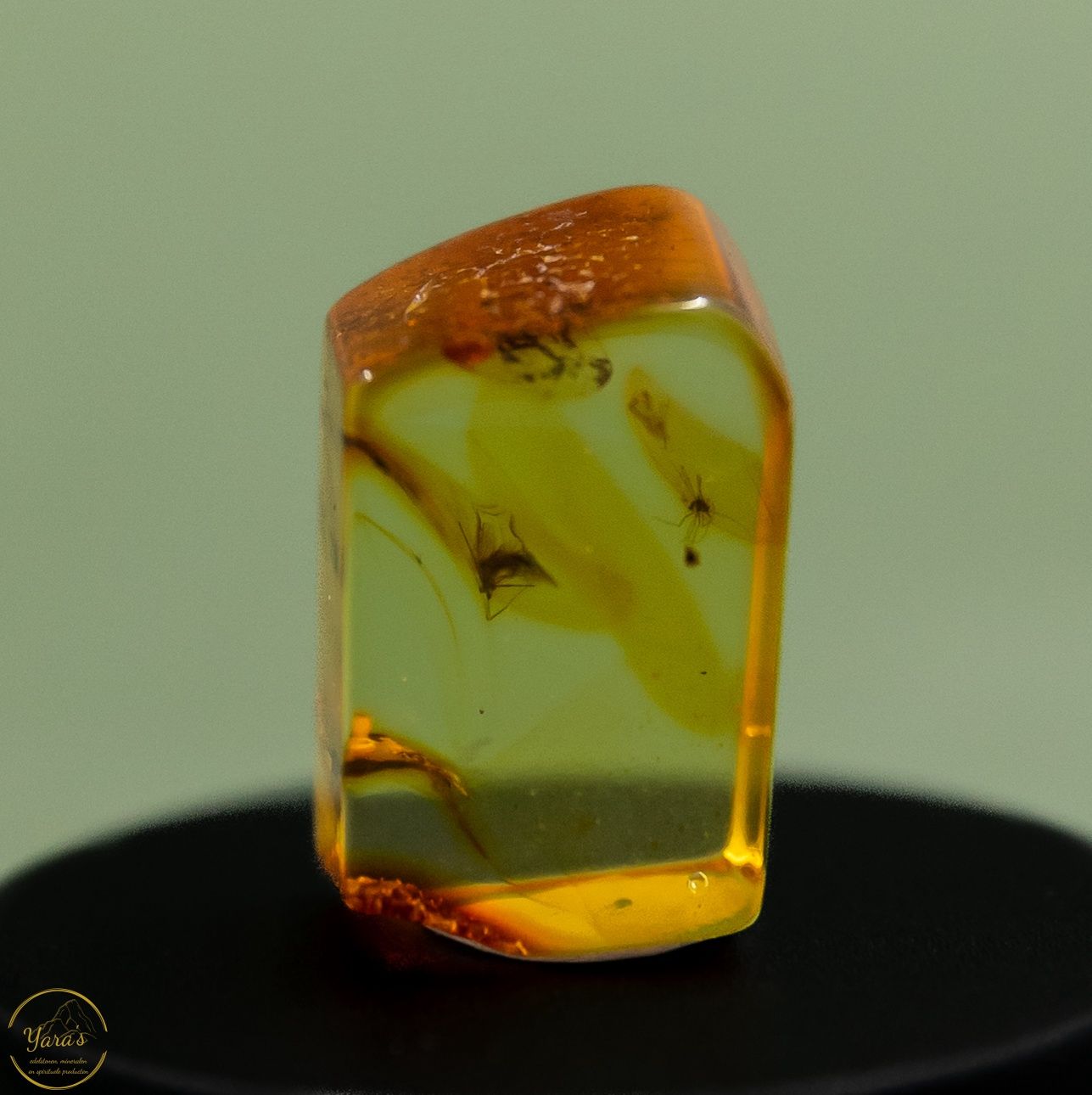 Barnsteen met insect (44 miljoen jaar oud) - 2.7gram