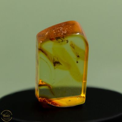 Barnsteen met insect (44 miljoen jaar oud) - 2.7gram