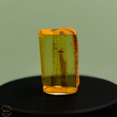 Barnsteen met insect (44 miljoen jaar oud) - 1.6 gram