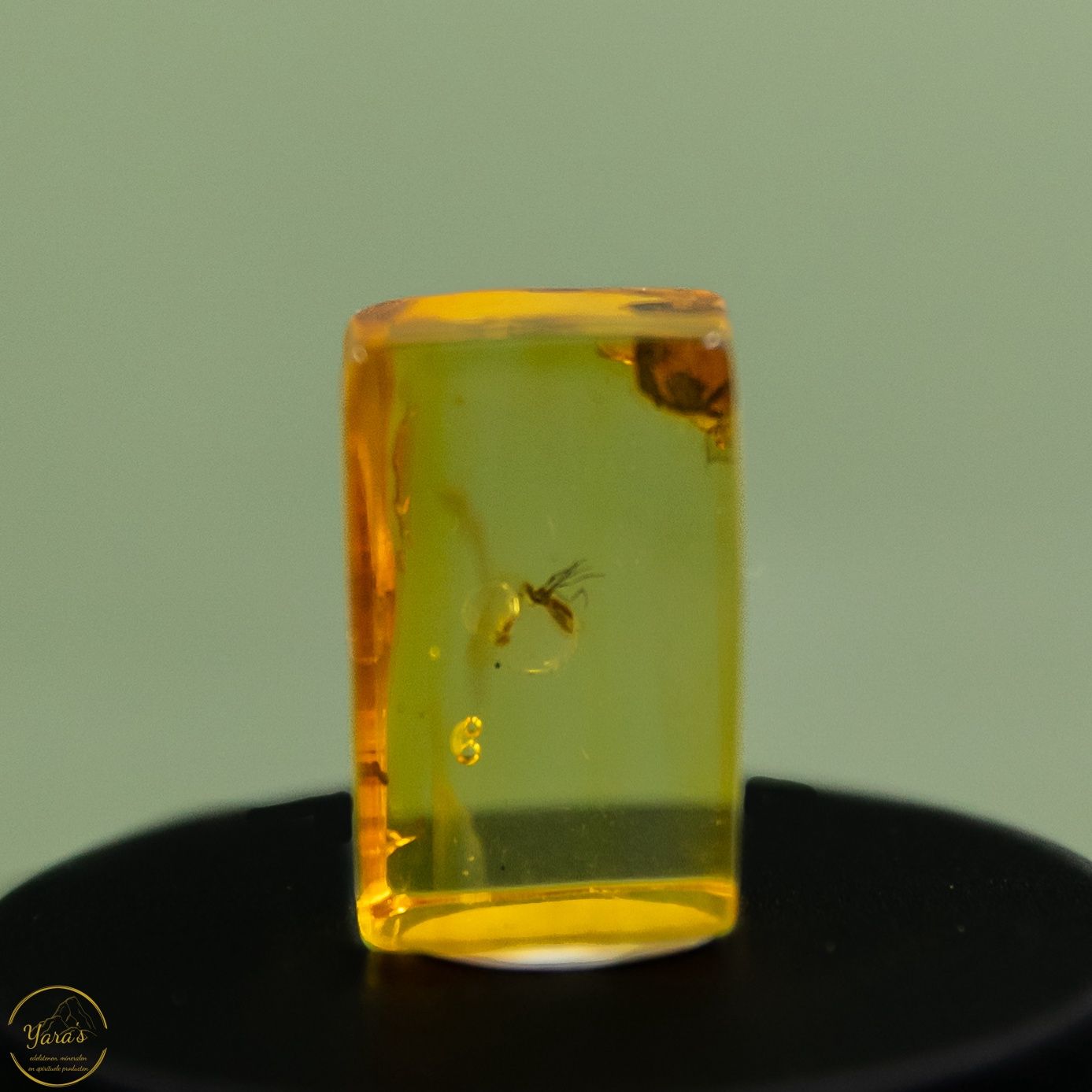 Barnsteen met insect (44 miljoen jaar oud) - 2.4 gram