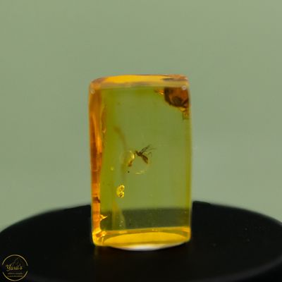 Barnsteen met insect (44 miljoen jaar oud) - 2.4 gram