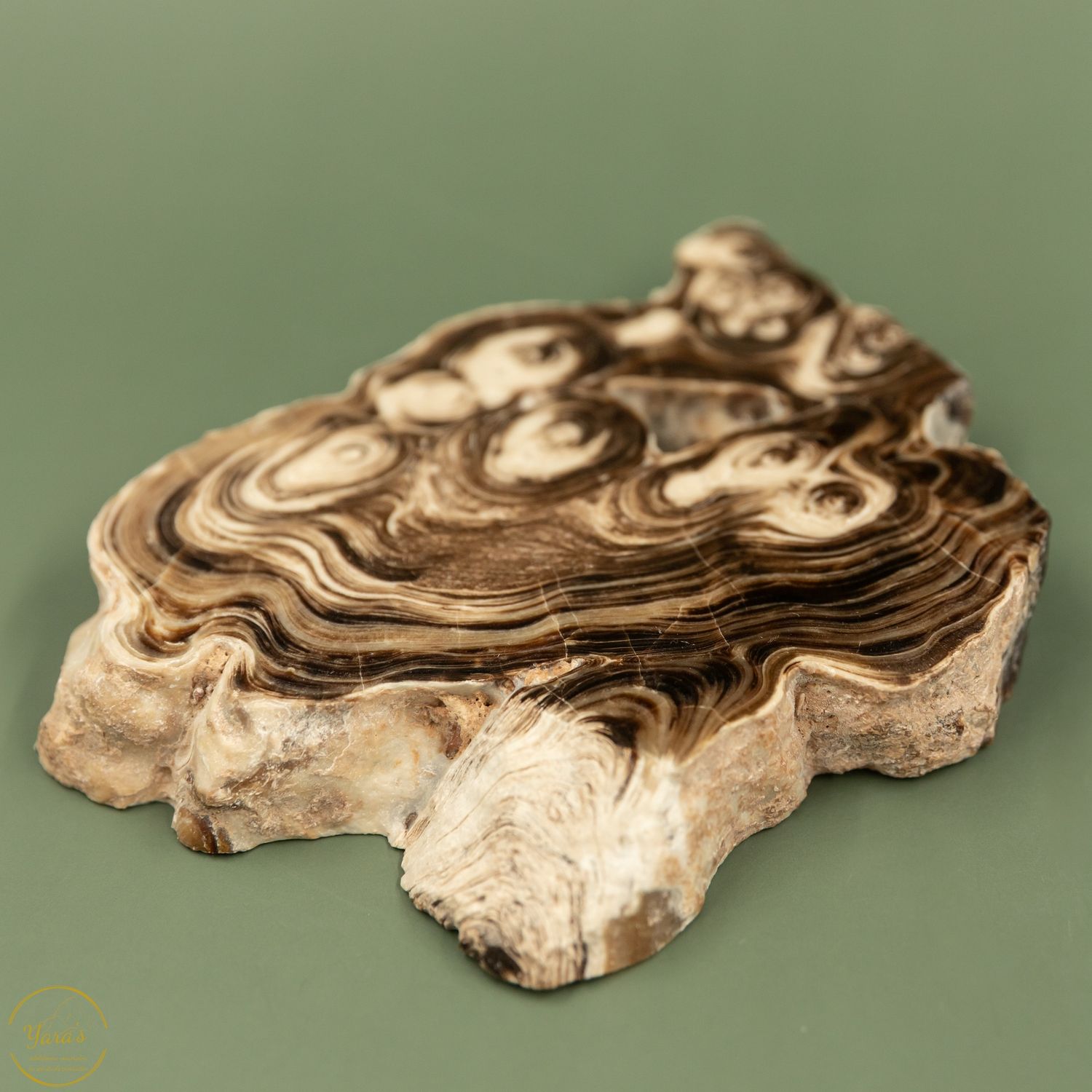 Chocolade bruine Aragoniet A+ kwaliteit- 620 gram